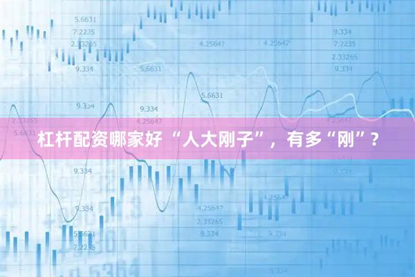 杠杆配资哪家好 “人大刚子”，有多“刚”？