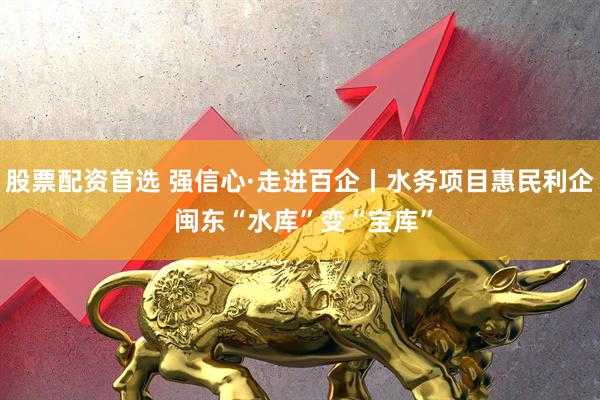 股票配资首选 强信心·走进百企丨水务项目惠民利企 闽东“水库”变“宝库”